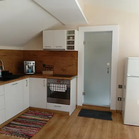 Apartment Artistic Loft With Amazing View, Mrenicov
