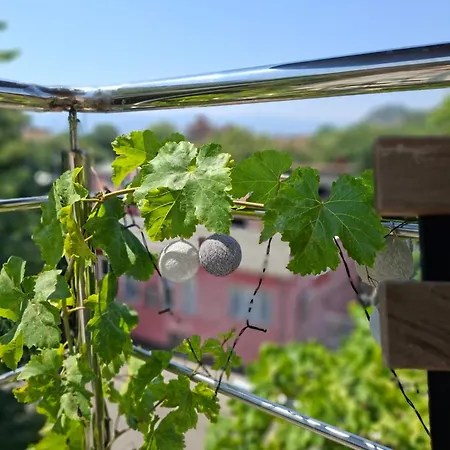 Artistic Loft With Amazing View Apartment *