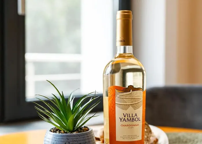 Artistic Loft Panoramic View Top Center 普罗夫迪夫